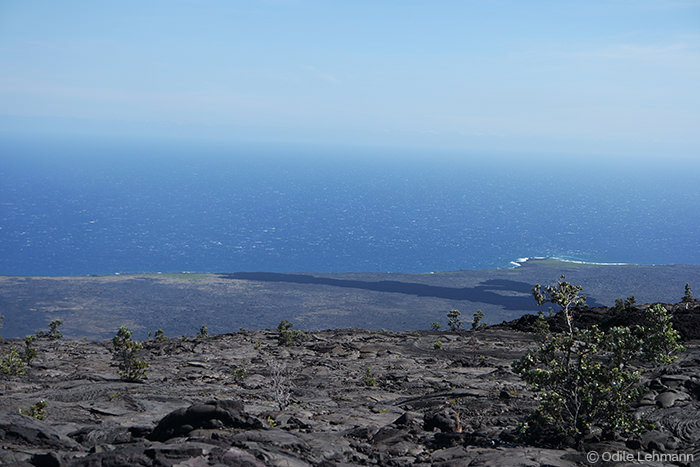L'ile Big Island à Hawaï