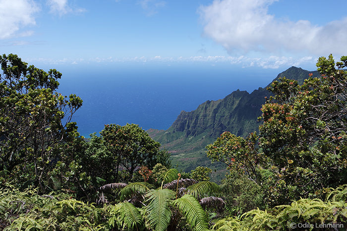 L'ile Kauai à Hawaï