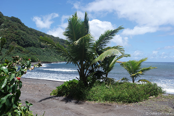 Lîle Maui à Hawaï